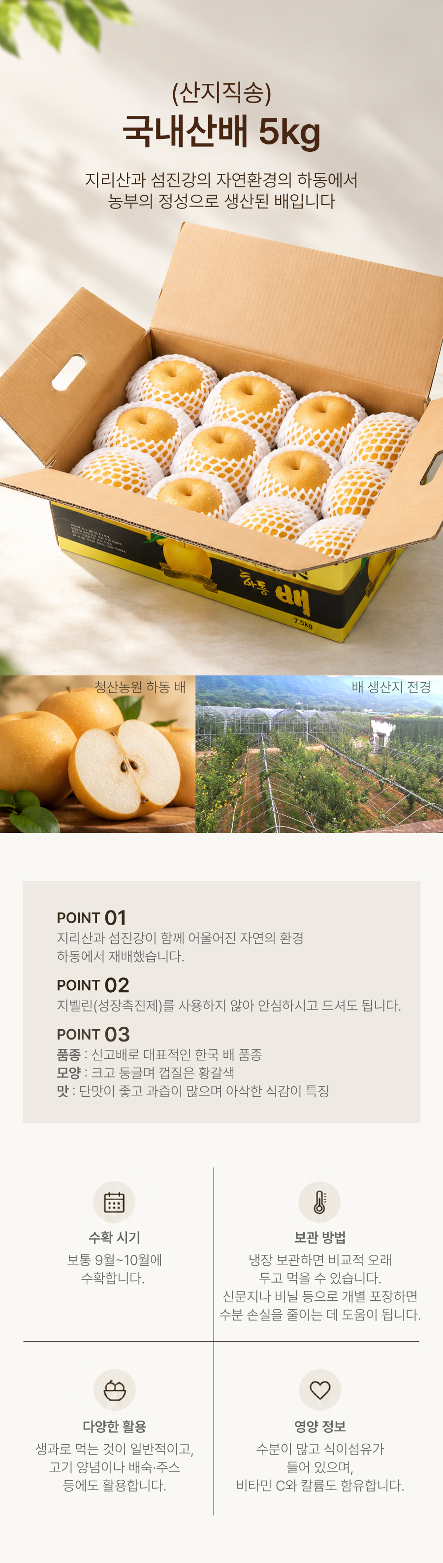 배_상세페이지.jpg